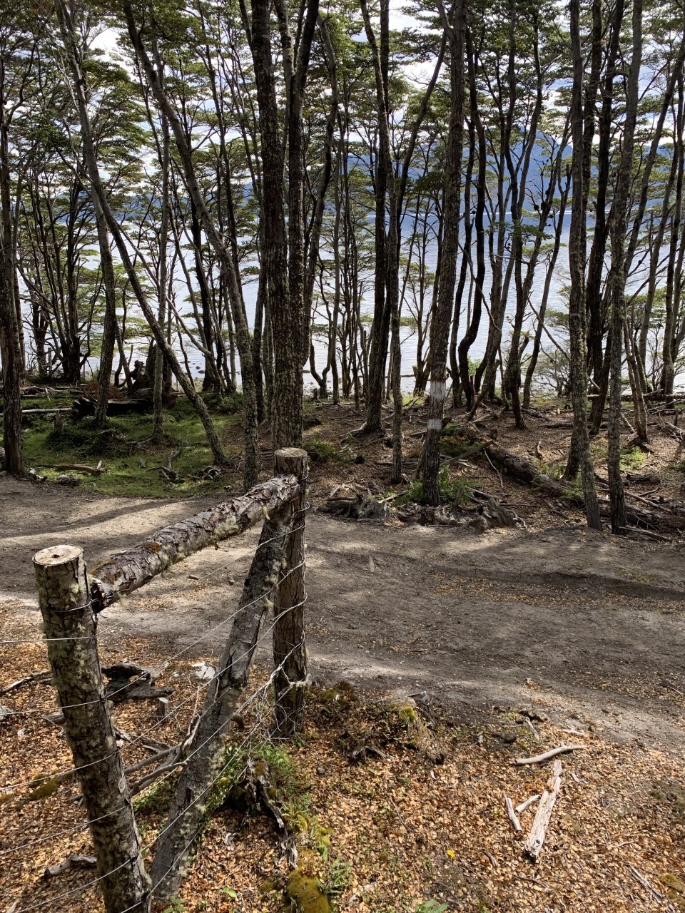 thumbnail_15B10 ESQ Norte_2